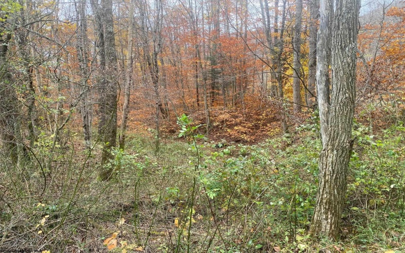 114 Alpena Gap Road, Bowden, West Virginia 26254, 2 Bedrooms Bedrooms, 4 Rooms Rooms,1 BathroomBathrooms,Single Family Detached,For Sale,Alpena Gap,10162520