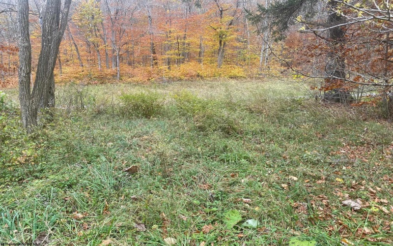 114 Alpena Gap Road, Bowden, West Virginia 26254, 2 Bedrooms Bedrooms, 4 Rooms Rooms,1 BathroomBathrooms,Single Family Detached,For Sale,Alpena Gap,10162520