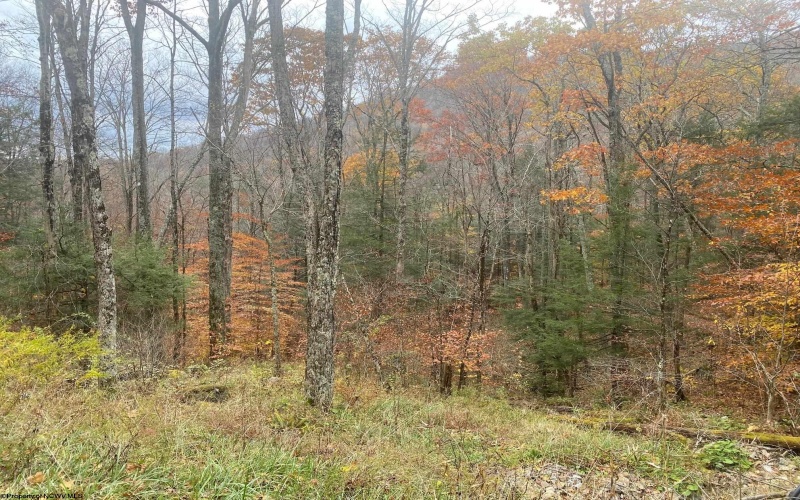 114 Alpena Gap Road, Bowden, West Virginia 26254, 2 Bedrooms Bedrooms, 4 Rooms Rooms,1 BathroomBathrooms,Single Family Detached,For Sale,Alpena Gap,10162520