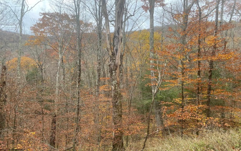 114 Alpena Gap Road, Bowden, West Virginia 26254, 2 Bedrooms Bedrooms, 4 Rooms Rooms,1 BathroomBathrooms,Single Family Detached,For Sale,Alpena Gap,10162520