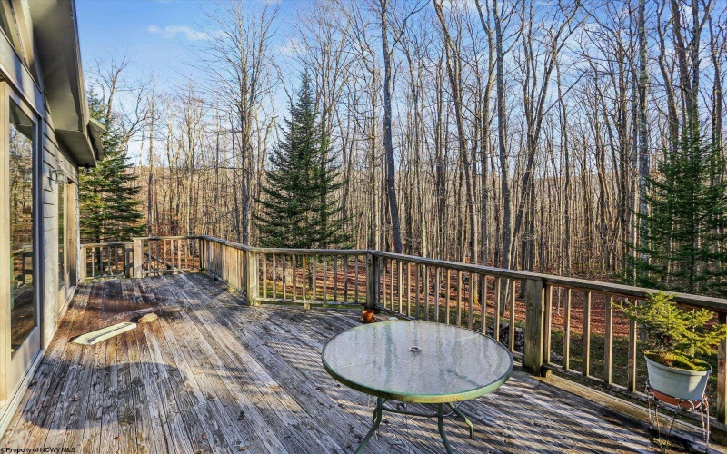 96 Sunfish Court, Davis, West Virginia 26260, 3 Bedrooms Bedrooms, 6 Rooms Rooms,2 BathroomsBathrooms,Single Family Detached,For Sale,Sunfish,10162546