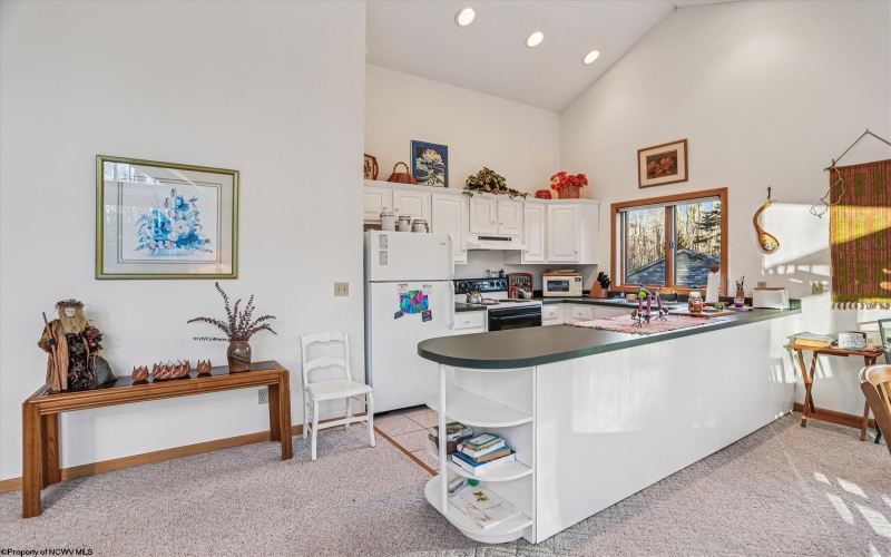 96 Sunfish Court, Davis, West Virginia 26260, 3 Bedrooms Bedrooms, 6 Rooms Rooms,2 BathroomsBathrooms,Single Family Detached,For Sale,Sunfish,10162546