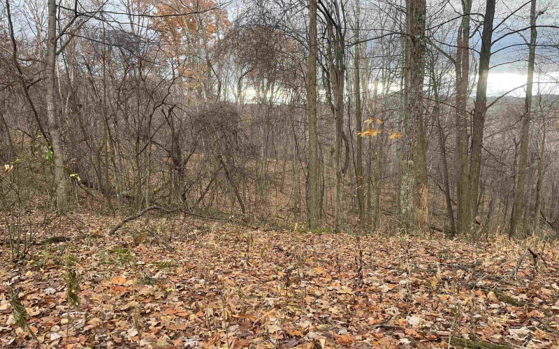 000 Crawford Road, Crawford, West Virginia 26343, ,Lots/land,For Sale,Crawford,10162543 000 Crawford Road, Crawford, West Virginia 26343, ,Lots/land,For Sale,Crawford,10162543