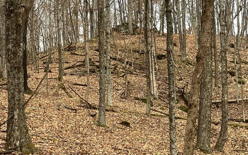 000 Crawford Road, Crawford, West Virginia 26343, ,Lots/land,For Sale,Crawford,10162543 000 Crawford Road, Crawford, West Virginia 26343, ,Lots/land,For Sale,Crawford,10162543