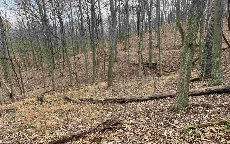 000 Crawford Road, Crawford, West Virginia 26343, ,Lots/land,For Sale,Crawford,10162543 000 Crawford Road, Crawford, West Virginia 26343, ,Lots/land,For Sale,Crawford,10162543