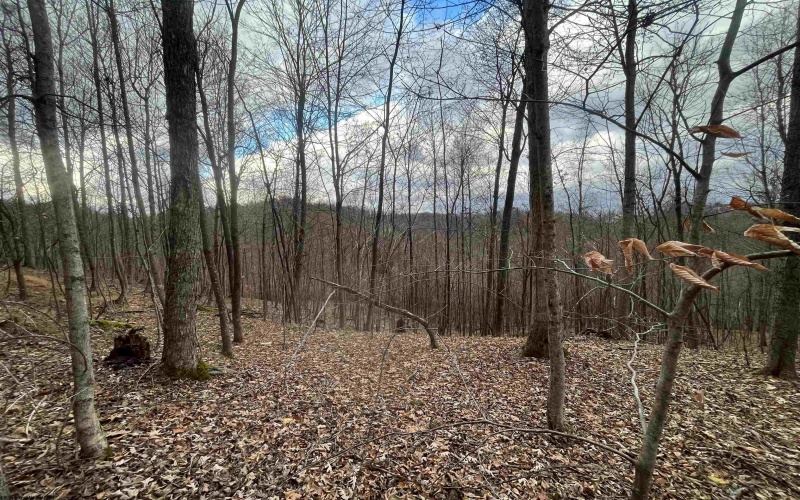 000 Crawford Road, Crawford, West Virginia 26343, ,Lots/land,For Sale,Crawford,10162543 000 Crawford Road, Crawford, West Virginia 26343, ,Lots/land,For Sale,Crawford,10162543