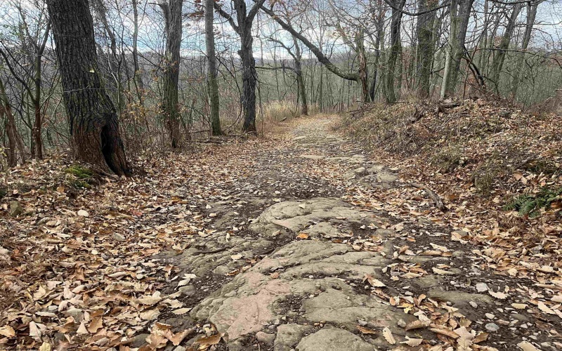 000 Crawford Road, Crawford, West Virginia 26343, ,Lots/land,For Sale,Crawford,10162543 000 Crawford Road, Crawford, West Virginia 26343, ,Lots/land,For Sale,Crawford,10162543