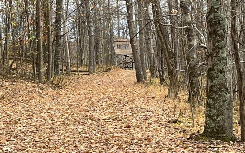 000 Crawford Road, Crawford, West Virginia 26343, ,Lots/land,For Sale,Crawford,10162543 000 Crawford Road, Crawford, West Virginia 26343, ,Lots/land,For Sale,Crawford,10162543