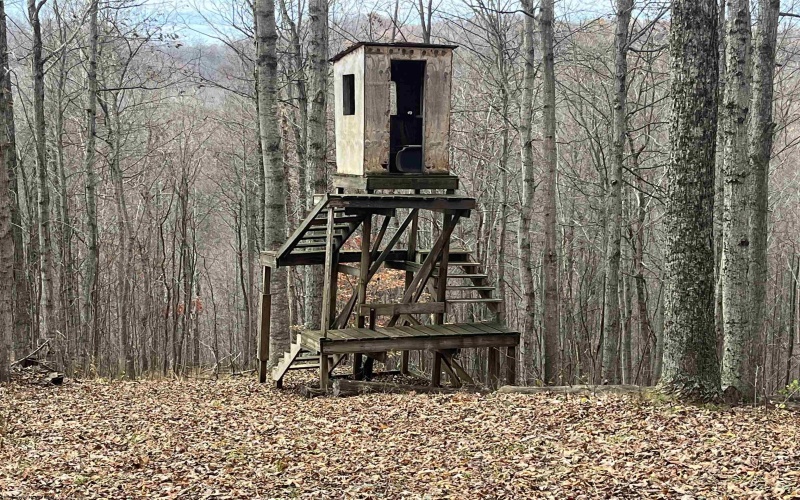 000 Crawford Road, Crawford, West Virginia 26343, ,Lots/land,For Sale,Crawford,10162543 000 Crawford Road, Crawford, West Virginia 26343, ,Lots/land,For Sale,Crawford,10162543