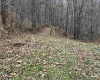 000 Crawford Road, Crawford, West Virginia 26343, ,Lots/land,For Sale,Crawford,10162543 000 Crawford Road, Crawford, West Virginia 26343, ,Lots/land,For Sale,Crawford,10162543