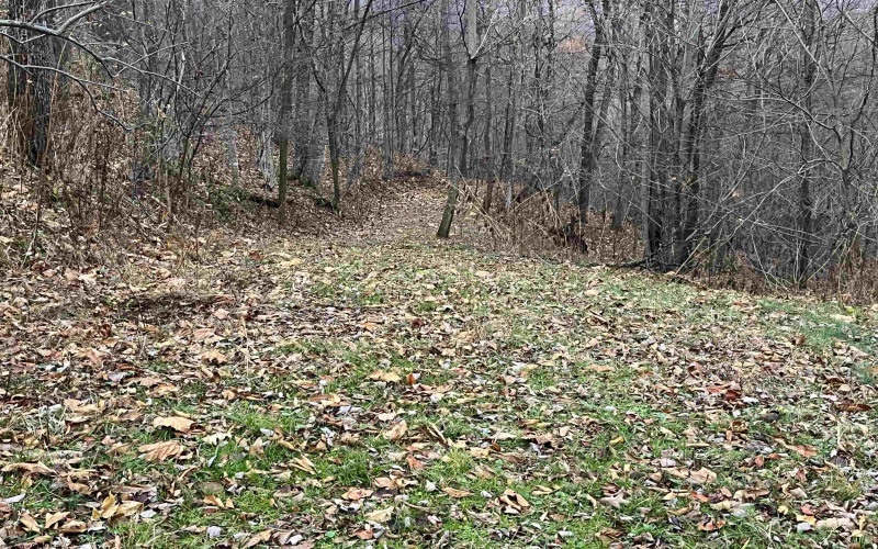 000 Crawford Road, Crawford, West Virginia 26343, ,Lots/land,For Sale,Crawford,10162543 000 Crawford Road, Crawford, West Virginia 26343, ,Lots/land,For Sale,Crawford,10162543