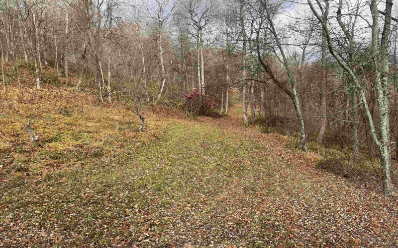 000 Crawford Road, Crawford, West Virginia 26343, ,Lots/land,For Sale,Crawford,10162543 000 Crawford Road, Crawford, West Virginia 26343, ,Lots/land,For Sale,Crawford,10162543