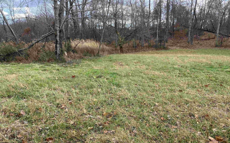 000 Crawford Road, Crawford, West Virginia 26343, ,Lots/land,For Sale,Crawford,10162543 000 Crawford Road, Crawford, West Virginia 26343, ,Lots/land,For Sale,Crawford,10162543