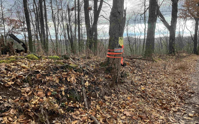 000 Crawford Road, Crawford, West Virginia 26343, ,Lots/land,For Sale,Crawford,10162543 000 Crawford Road, Crawford, West Virginia 26343, ,Lots/land,For Sale,Crawford,10162543