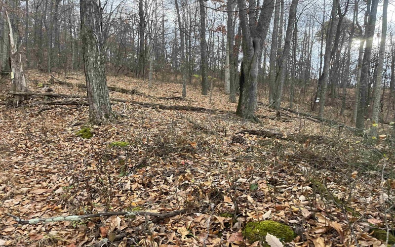 000 Crawford Road, Crawford, West Virginia 26343, ,Lots/land,For Sale,Crawford,10162543 000 Crawford Road, Crawford, West Virginia 26343, ,Lots/land,For Sale,Crawford,10162543