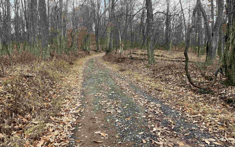 000 Crawford Road, Crawford, West Virginia 26343, ,Lots/land,For Sale,Crawford,10162543 000 Crawford Road, Crawford, West Virginia 26343, ,Lots/land,For Sale,Crawford,10162543