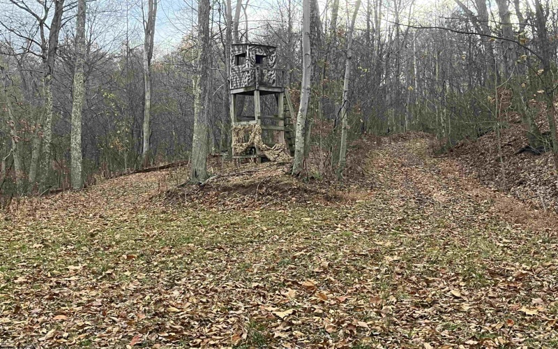 000 Crawford Road, Crawford, West Virginia 26343, ,Lots/land,For Sale,Crawford,10162543 000 Crawford Road, Crawford, West Virginia 26343, ,Lots/land,For Sale,Crawford,10162543