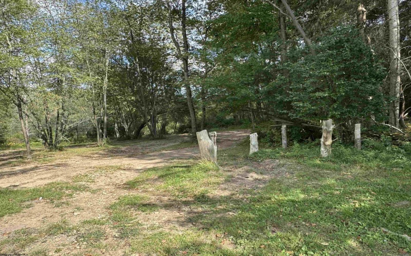 TBD Rapp Drive, Davis, West Virginia 26260-0000, ,Lots/land,For Sale,Rapp,10161388