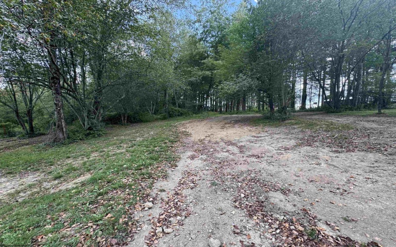 TBD Rapp Drive, Davis, West Virginia 26260-0000, ,Lots/land,For Sale,Rapp,10161388