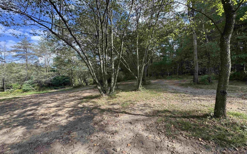 TBD Rapp Drive, Davis, West Virginia 26260-0000, ,Lots/land,For Sale,Rapp,10161388