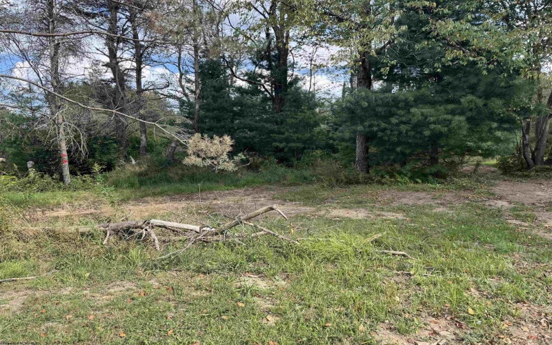 TBD Rapp Drive, Davis, West Virginia 26260-0000, ,Lots/land,For Sale,Rapp,10161388