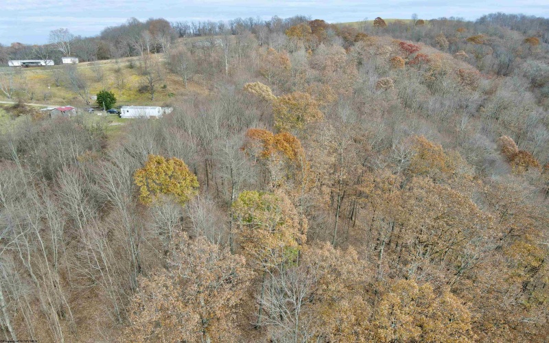 1945 Wilson Ridge Road, Duck, West Virginia 25063, ,Lots/land,For Sale,Wilson Ridge,10162548