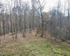 1945 Wilson Ridge Road, Duck, West Virginia 25063, ,Lots/land,For Sale,Wilson Ridge,10162548