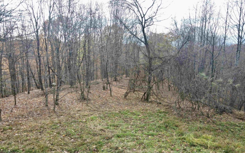 1945 Wilson Ridge Road, Duck, West Virginia 25063, ,Lots/land,For Sale,Wilson Ridge,10162548