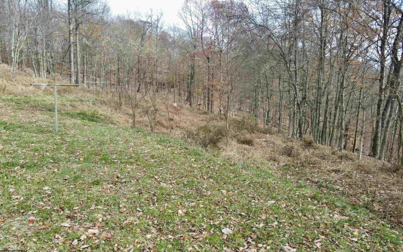 1945 Wilson Ridge Road, Duck, West Virginia 25063, ,Lots/land,For Sale,Wilson Ridge,10162548