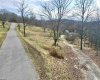 1945 Wilson Ridge Road, Duck, West Virginia 25063, ,Lots/land,For Sale,Wilson Ridge,10162548