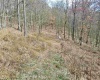 1945 Wilson Ridge Road, Duck, West Virginia 25063, ,Lots/land,For Sale,Wilson Ridge,10162548