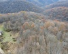 1945 Wilson Ridge Road, Duck, West Virginia 25063, ,Lots/land,For Sale,Wilson Ridge,10162548