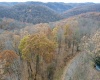 1945 Wilson Ridge Road, Duck, West Virginia 25063, ,Lots/land,For Sale,Wilson Ridge,10162548