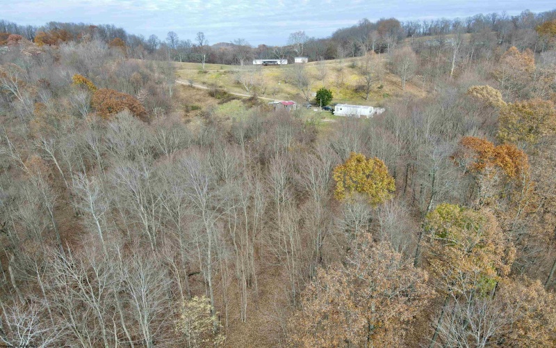 1945 Wilson Ridge Road, Duck, West Virginia 25063, ,Lots/land,For Sale,Wilson Ridge,10162548