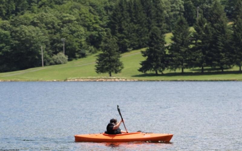 Lot 154 Daisy Drive, Terra Alta, West Virginia 26764, ,Lots/land,For Sale,Daisy,10162554