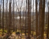 Lot 154 Daisy Drive, Terra Alta, West Virginia 26764, ,Lots/land,For Sale,Daisy,10162554