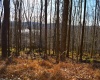 Lot 154 Daisy Drive, Terra Alta, West Virginia 26764, ,Lots/land,For Sale,Daisy,10162554