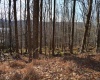 Lot 154 Daisy Drive, Terra Alta, West Virginia 26764, ,Lots/land,For Sale,Daisy,10162554