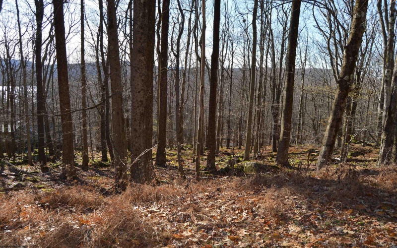 Lot 154 Daisy Drive, Terra Alta, West Virginia 26764, ,Lots/land,For Sale,Daisy,10162554