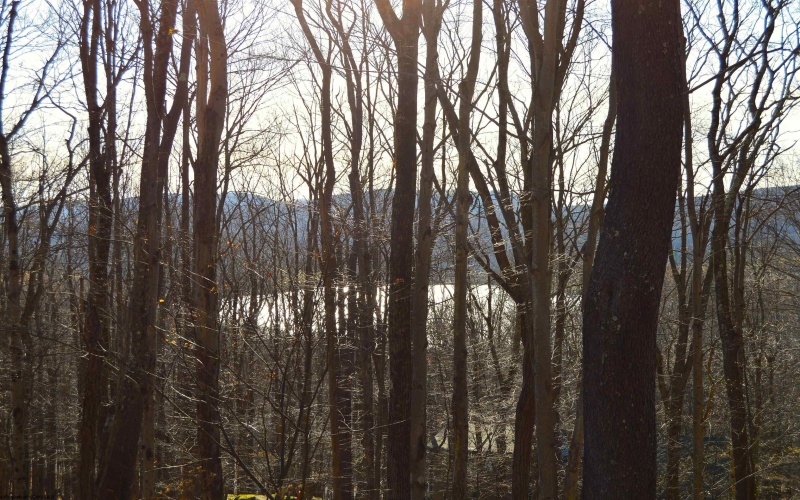 Lot 154 Daisy Drive, Terra Alta, West Virginia 26764, ,Lots/land,For Sale,Daisy,10162554