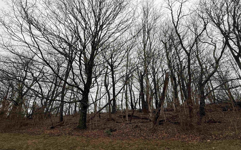 40 Bine Street, Fairmont, West Virginia 26554, 3 Bedrooms Bedrooms, 7 Rooms Rooms,1 BathroomBathrooms,Single Family Detached,For Sale,Bine,10162558