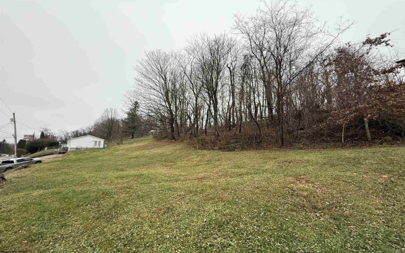 40 Bine Street, Fairmont, West Virginia 26554, 3 Bedrooms Bedrooms, 7 Rooms Rooms,1 BathroomBathrooms,Single Family Detached,For Sale,Bine,10162558