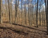 TBD Keller Hill Road, Belington, West Virginia 26260, ,Lots/land,For Sale,Keller Hill,10157596