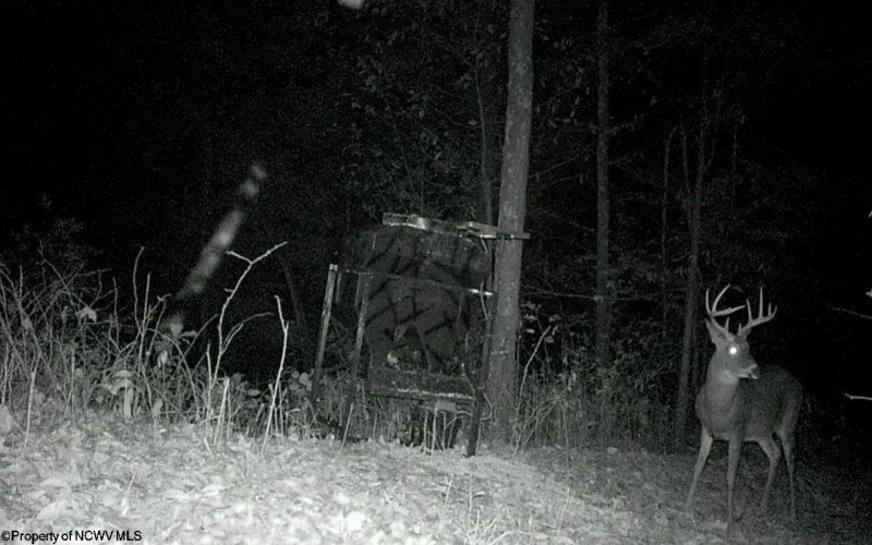 TBD Keller Hill Road, Belington, West Virginia 26260, ,Lots/land,For Sale,Keller Hill,10157596