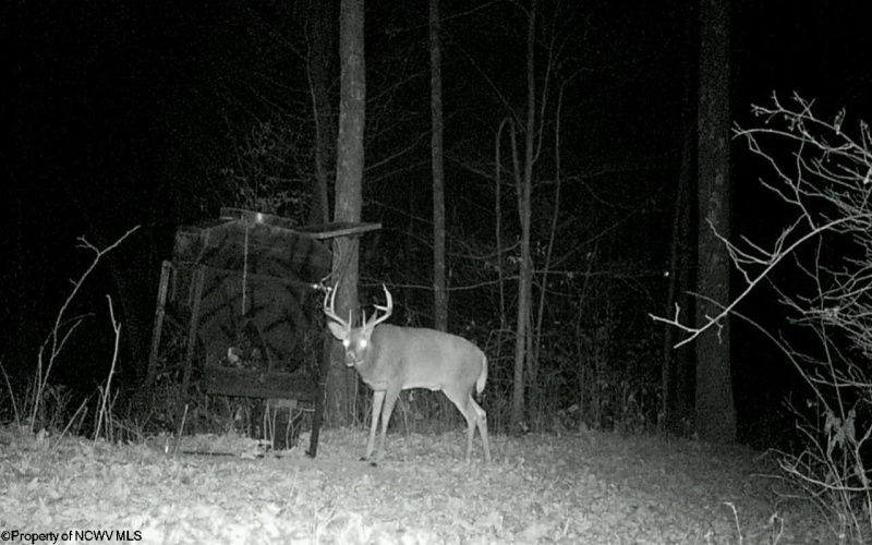 TBD Keller Hill Road, Belington, West Virginia 26260, ,Lots/land,For Sale,Keller Hill,10157596