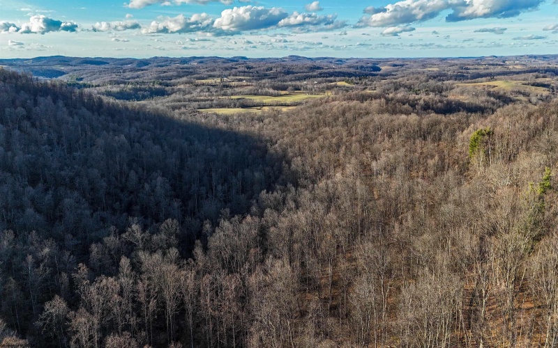 TBD Keller Hill Road, Belington, West Virginia 26260, ,Lots/land,For Sale,Keller Hill,10157596