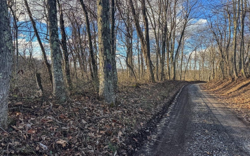 TBD Keller Hill Road, Belington, West Virginia 26260, ,Lots/land,For Sale,Keller Hill,10157596