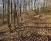 TBD Keller Hill Road, Belington, West Virginia 26260, ,Lots/land,For Sale,Keller Hill,10157596