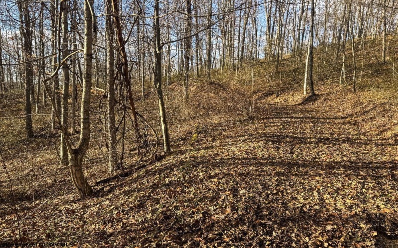 TBD Keller Hill Road, Belington, West Virginia 26260, ,Lots/land,For Sale,Keller Hill,10157596