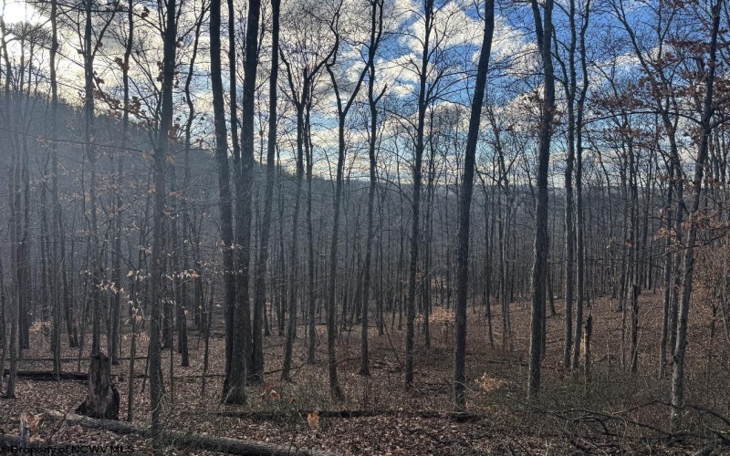 TBD Keller Hill Road, Belington, West Virginia 26260, ,Lots/land,For Sale,Keller Hill,10157596